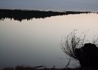 Jedovnicka vrba : Art